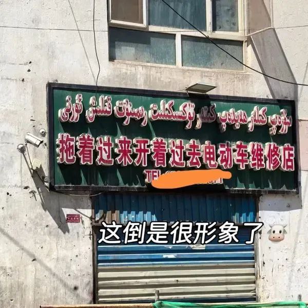 这倒是很形象了